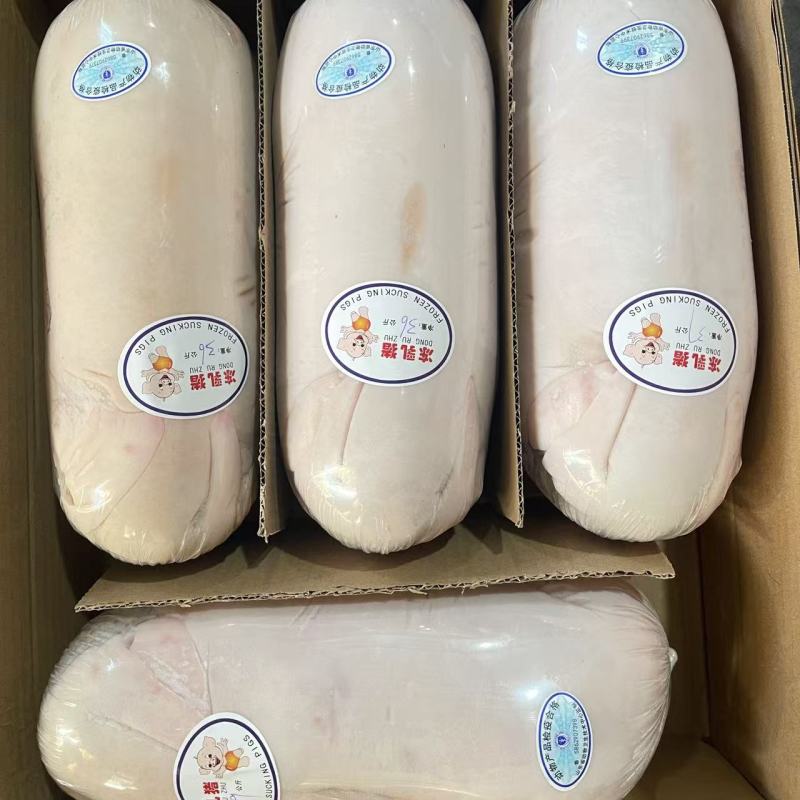 【精品】鲜冻乳猪批发工厂店一手货源供应稳定欢迎老板合作