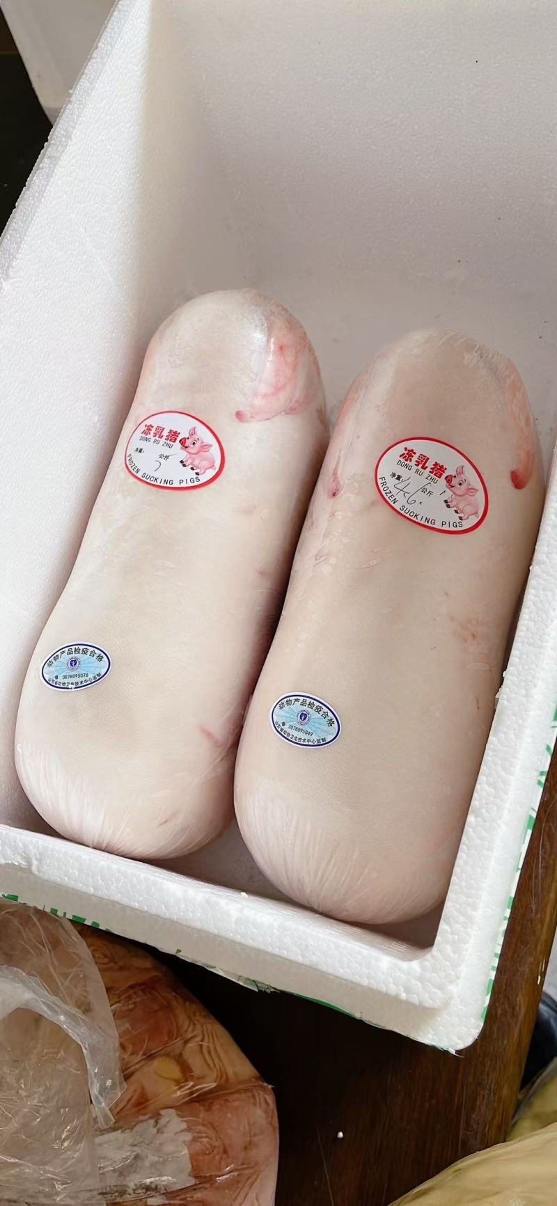 【精品】鲜冻乳猪批发工厂店一手货源供应稳定欢迎老板合作