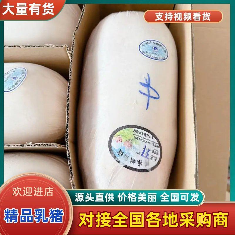 鲜冻乳猪，源头厂家直发，品质保障欢迎新老客户采购！