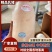【精品】鲜冻乳猪厂家货源供应稳定价格优惠欢迎全国老板合作