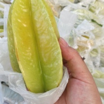 正宗河唇老品种红杨桃