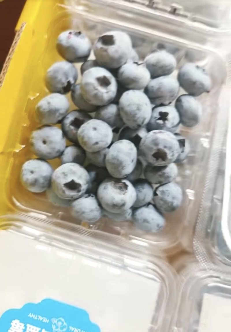 F6蓝莓，产地直发，量大从优，可视频看货，可对接全国