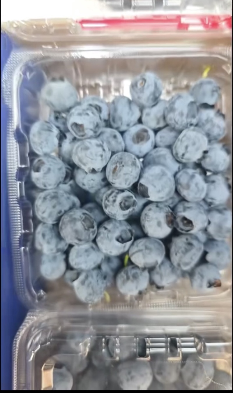 F6蓝莓，产地直发，量大从优，可视频看货，可对接全国
