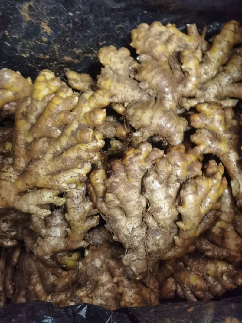 电商货生姜/出口生姜/赶集货/超市货/一手货源，代发全国
