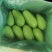 云南精品青茄