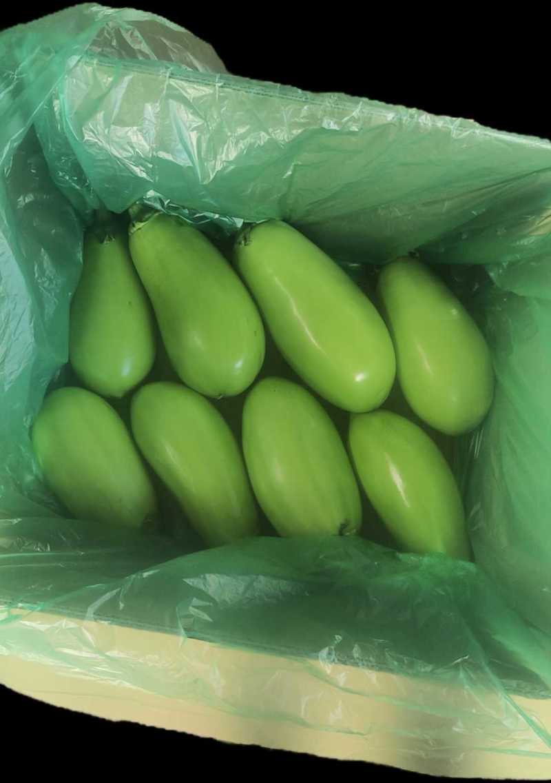 云南精品青茄