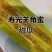 正宗寿光羊角蜜甜瓜，脆甜多汁，价格美丽，售后低，精品货源