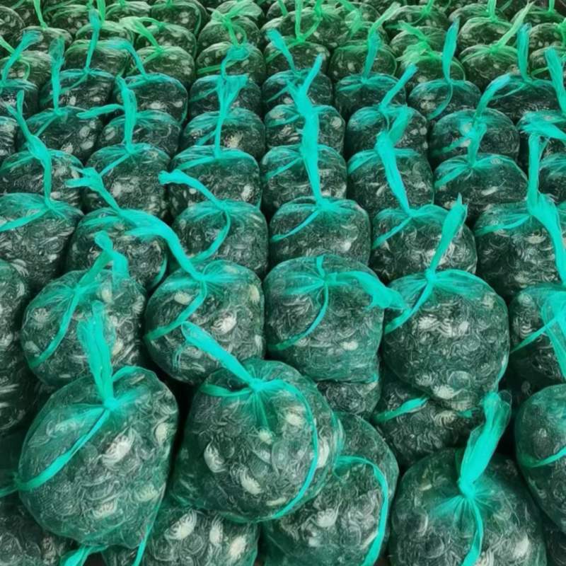 马鞍山精品蟹苗开始销售了