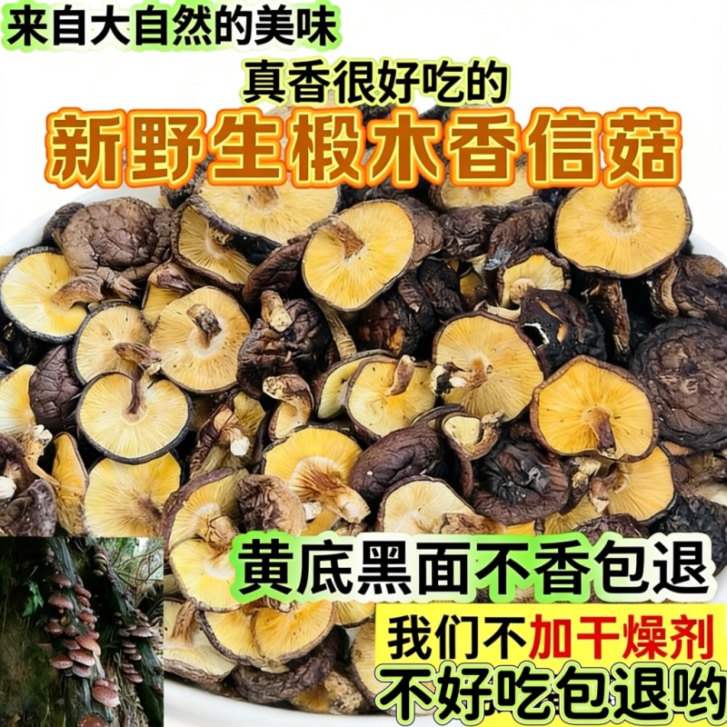 新椴木香菇原木香信菇冬菇特产