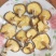 新椴木香菇原木香信菇冬菇特产