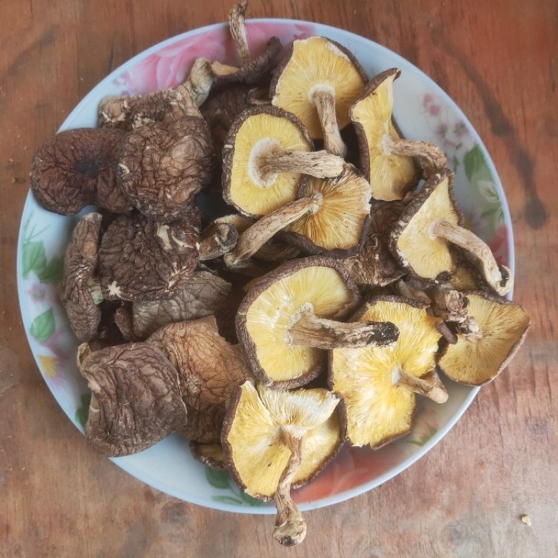 新椴木香菇原木香信菇冬菇特产