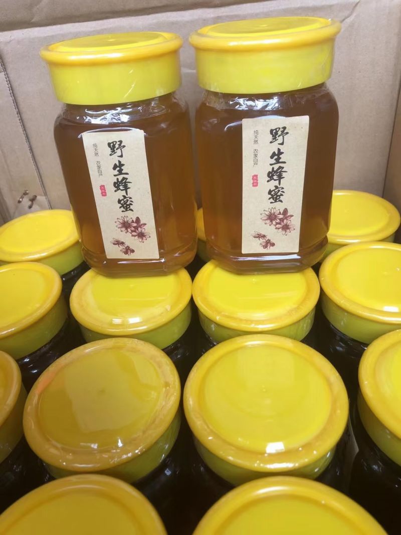 高山果园蜜