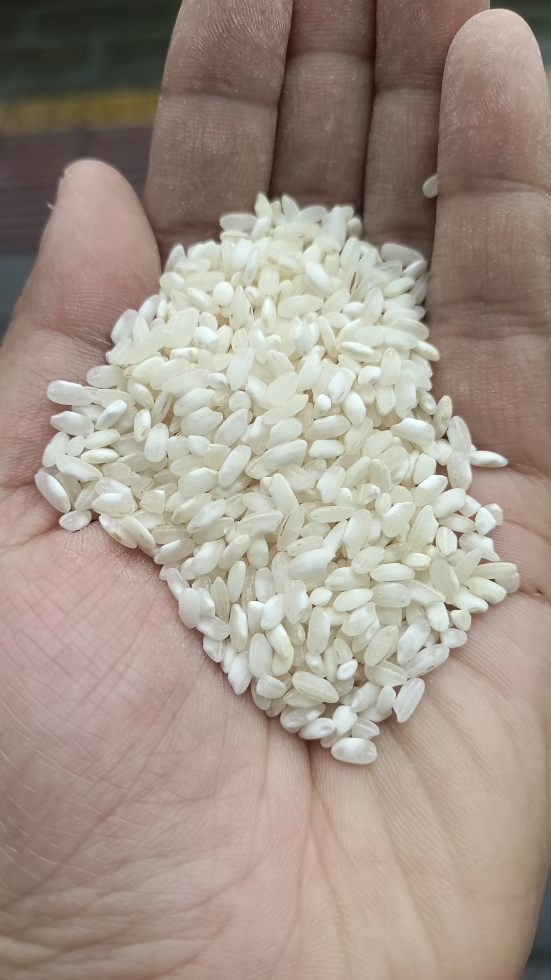 纯桂朝米，硬度高，肠粉，米粉专用，免费寄样