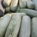 羊角蜜博洋61甜瓜主产区品质好，上货量大欢迎采购