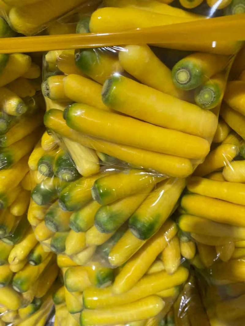 黄胡萝卜