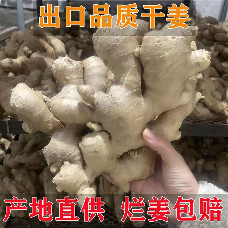 【山东老姜】产地批发/常年供应/质量保证/可常年供应