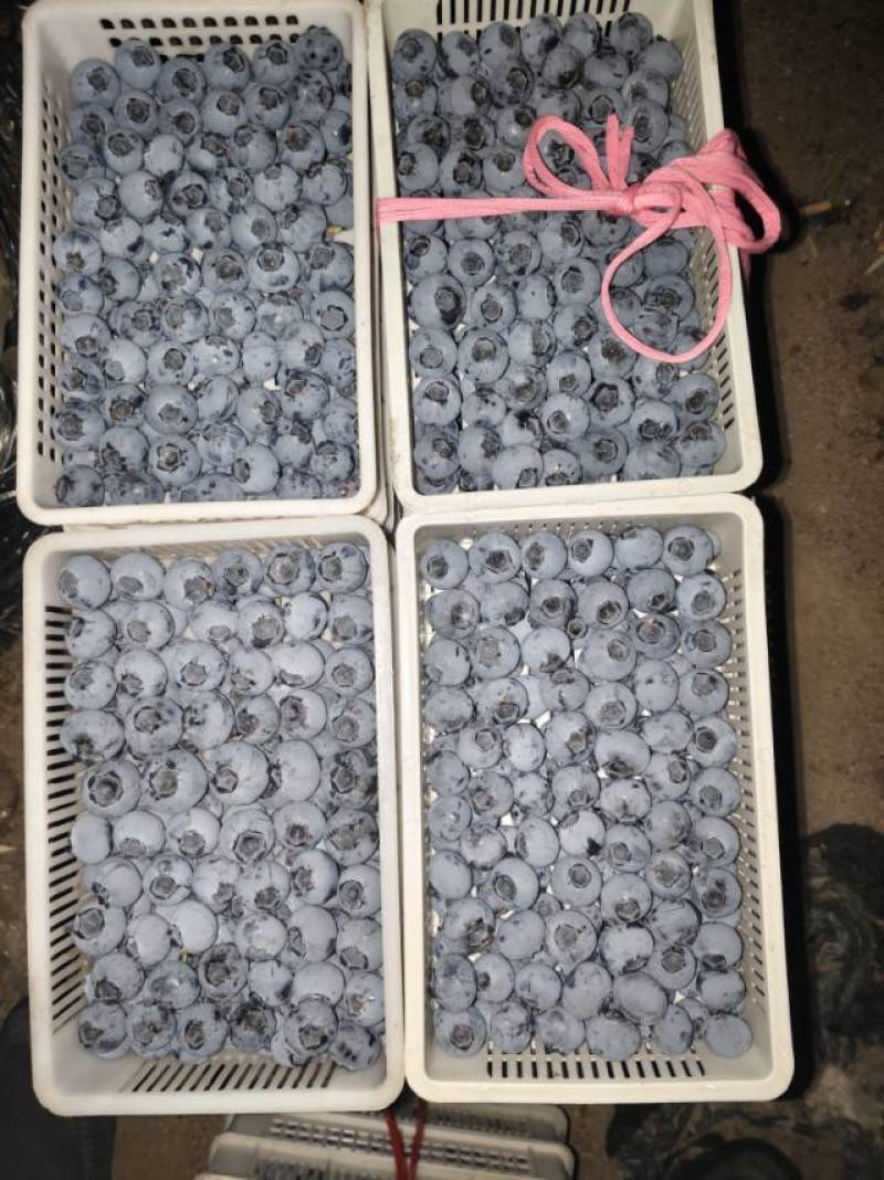 一次合作，终生朋友。