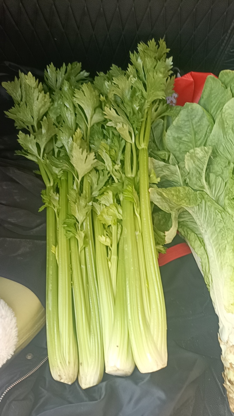 精品西芹大量上市中，翠绿不空杆