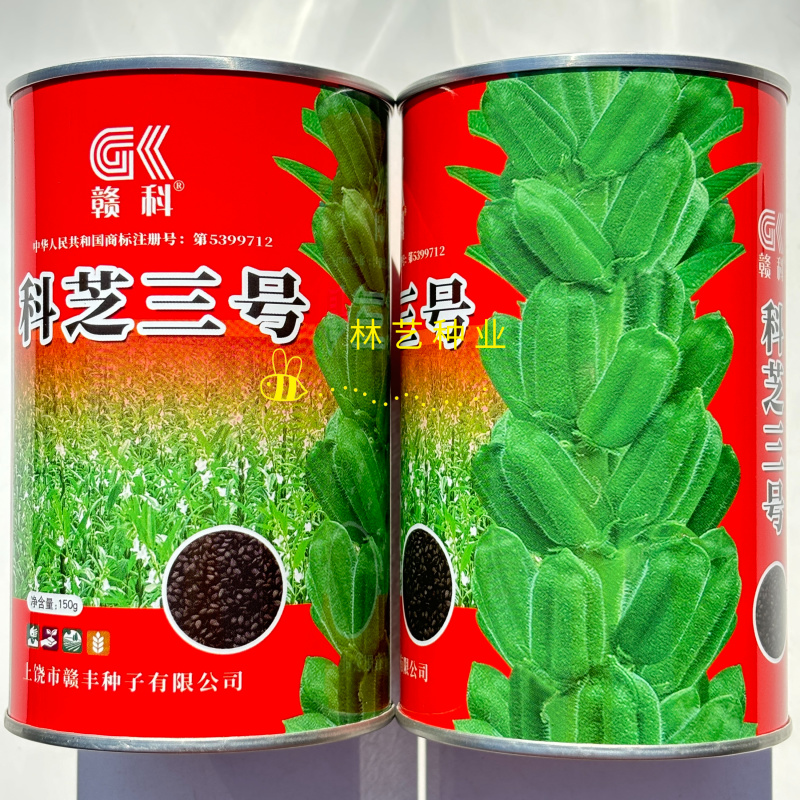 科芝三号黑芝麻种子单杆三花四棱中熟抗倒耐旱耐渍春夏播芝麻