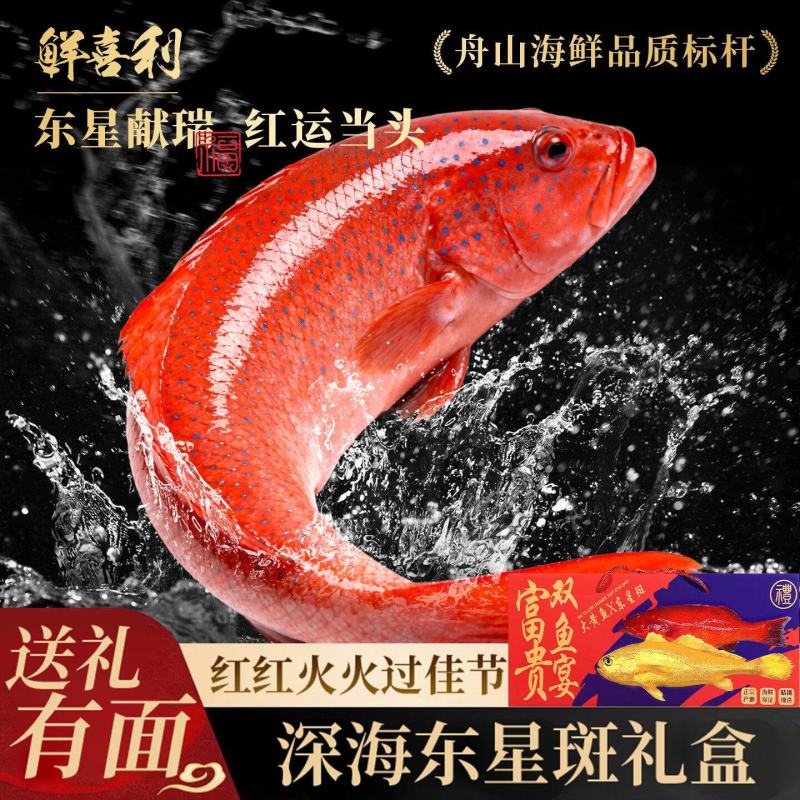 东星斑礼盒装送礼正宗深海高端水产海捕鲜活冷冻石斑鱼年货礼