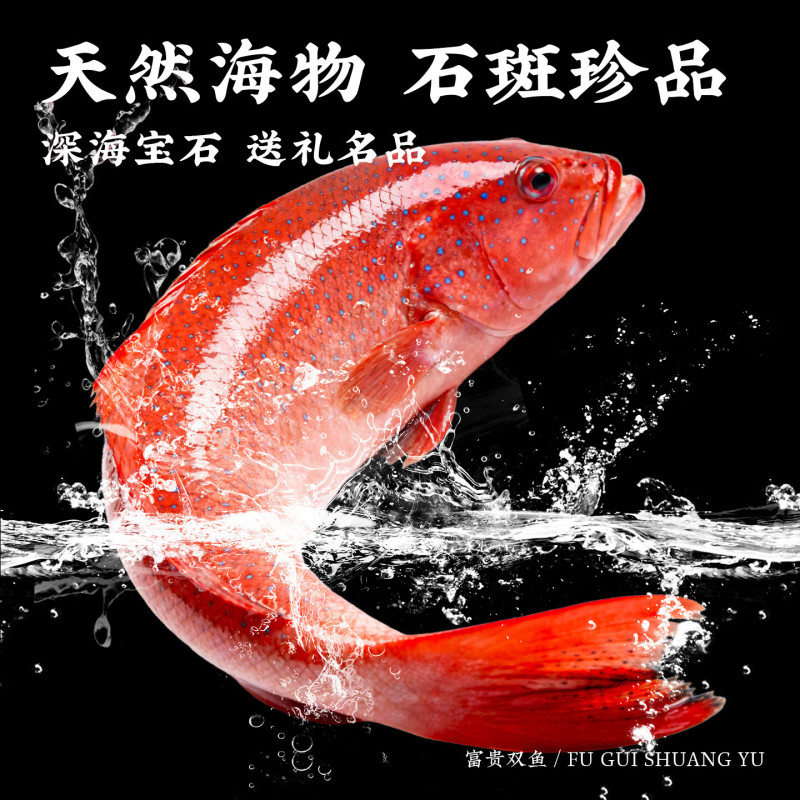 东星斑礼盒装送礼正宗深海高端水产海捕鲜活冷冻石斑鱼年货礼