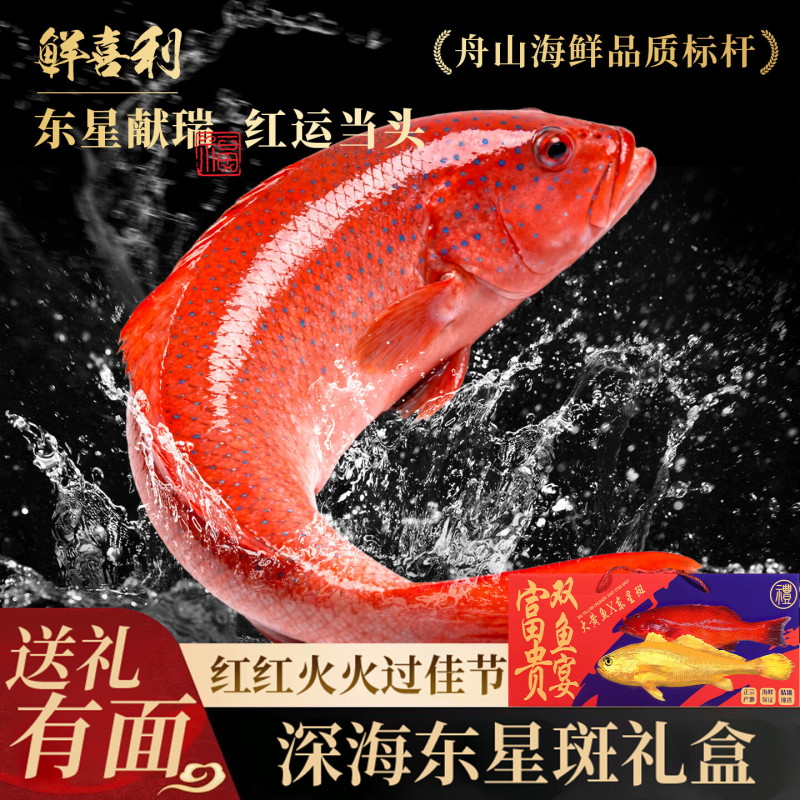 东星斑礼盒装送礼正宗深海高端水产海捕鲜活冷冻石斑鱼年货礼