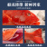 东星斑礼盒装送礼正宗深海高端水产海捕鲜活冷冻石斑鱼年货礼
