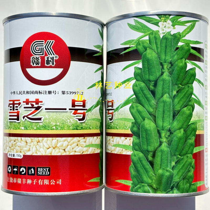雪芝一号白芝麻种子高产高油高抗不倒伏白芝麻种籽大田春夏播