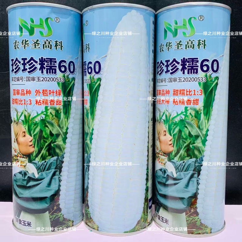 珍珍糯60玉米种子粘糯香甜鲜食玉米种籽绿皮大棒甜糯玉米种