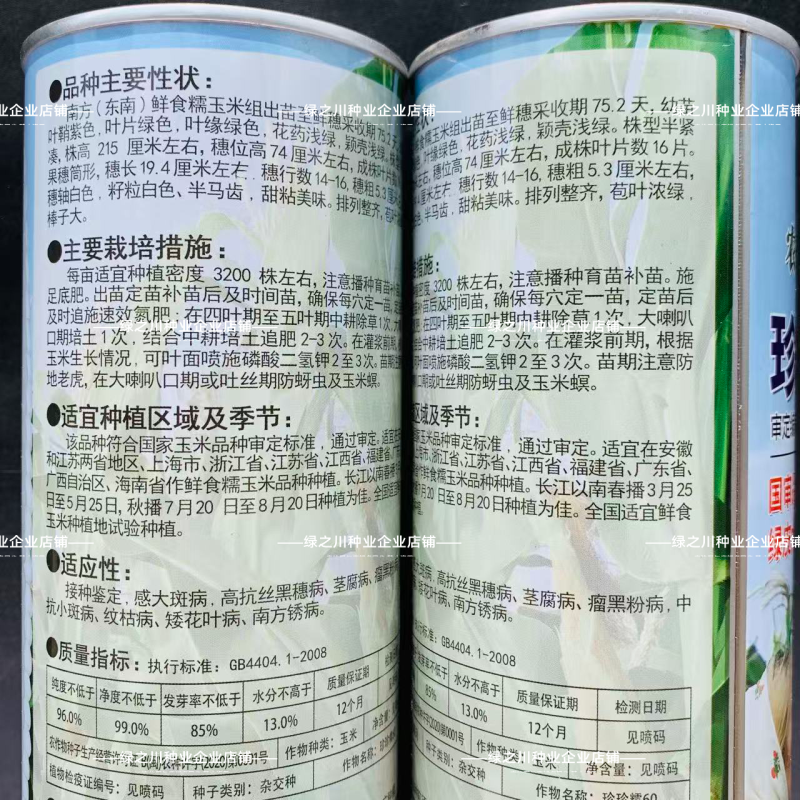 珍珍糯60玉米种子粘糯香甜鲜食玉米种籽绿皮大棒甜糯玉米种