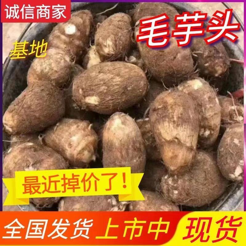 毛芋头8520人工手选产地直发低价对接全国市场及电商平台