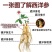正宗新货西洋参芦头正品无硫手工精选西洋参芦头特级花旗参煲