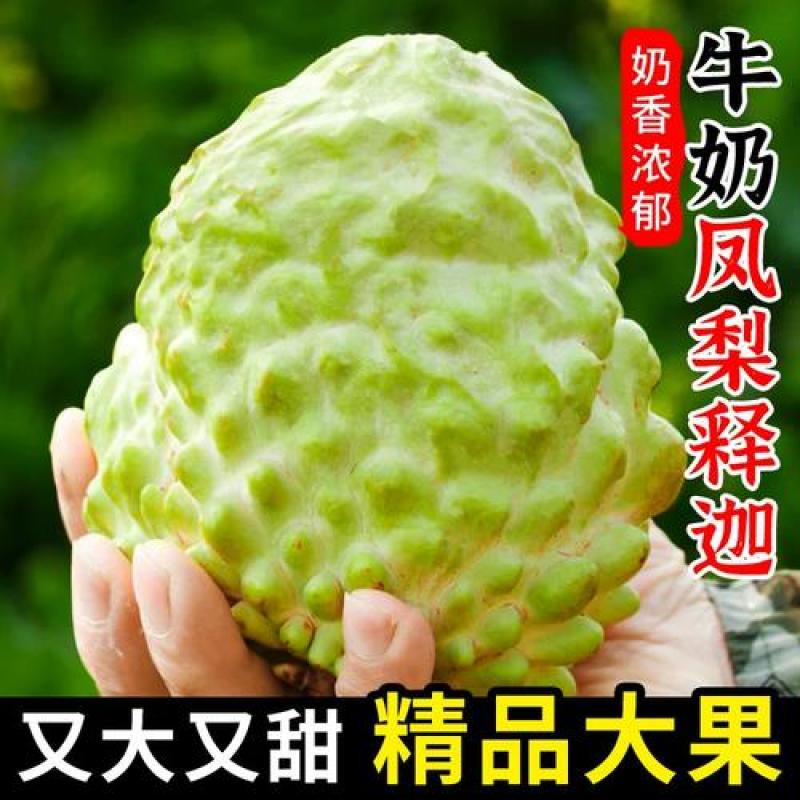 广西释迦果新鲜5今牛奶凤梨释迦果番荔枝佛头果孕妇当季水果