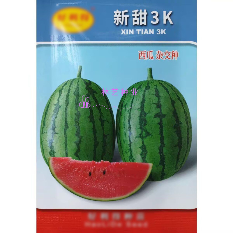 新甜3k小西瓜种子早熟品质小型西瓜吊瓜种籽酥脆爽甜多汁