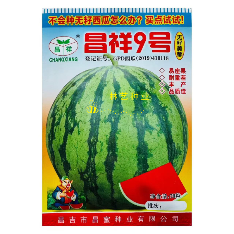 昌祥9号无籽西瓜种子美都薄皮特大抗号耐重茬冰糖麒麟西瓜种