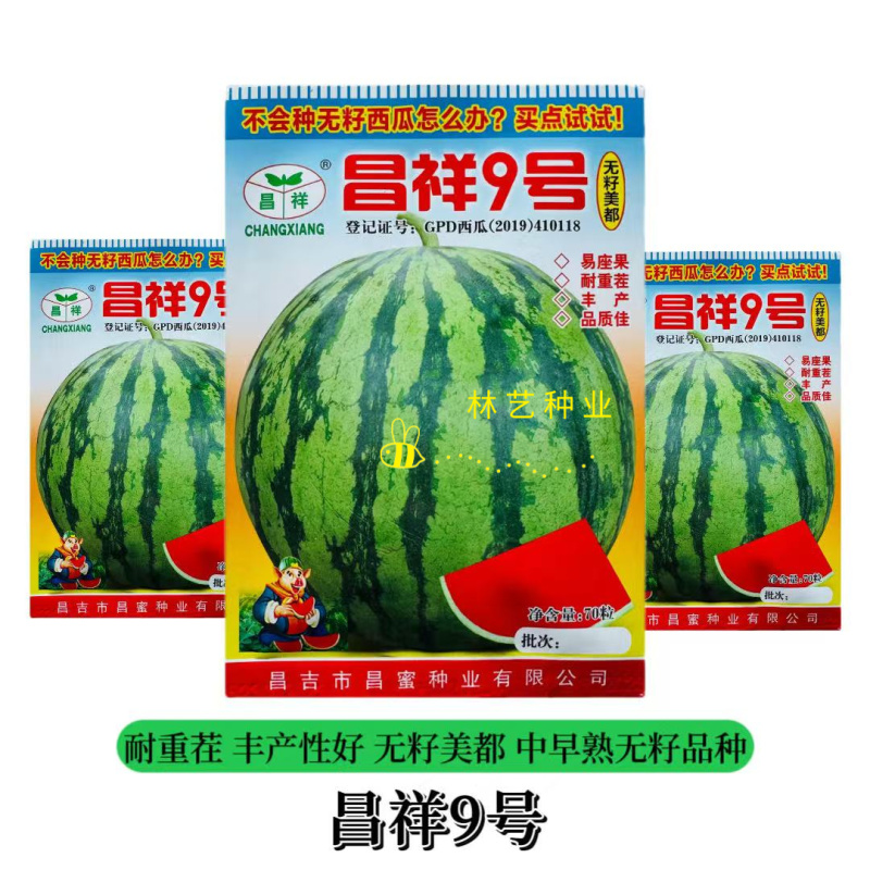 昌祥9号无籽西瓜种子美都薄皮特大抗号耐重茬冰糖麒麟西瓜种