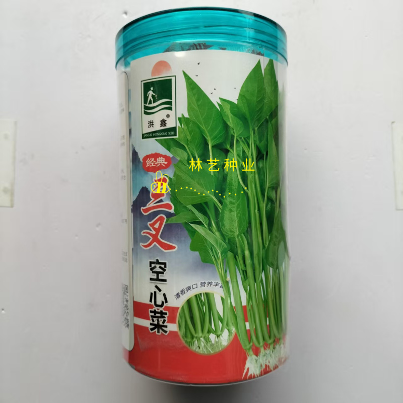 经典三叉空心菜种子高产抗病耐热耐寒春夏秋播大田基地通心菜