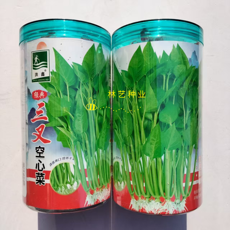 经典三叉空心菜种子高产抗病耐热耐寒春夏秋播大田基地通心菜