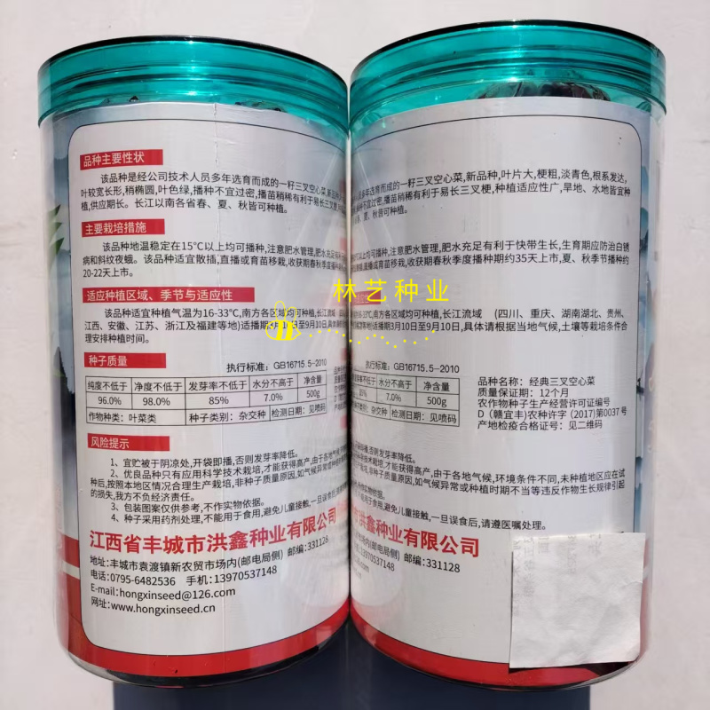 经典三叉空心菜种子高产抗病耐热耐寒春夏秋播大田基地通心菜