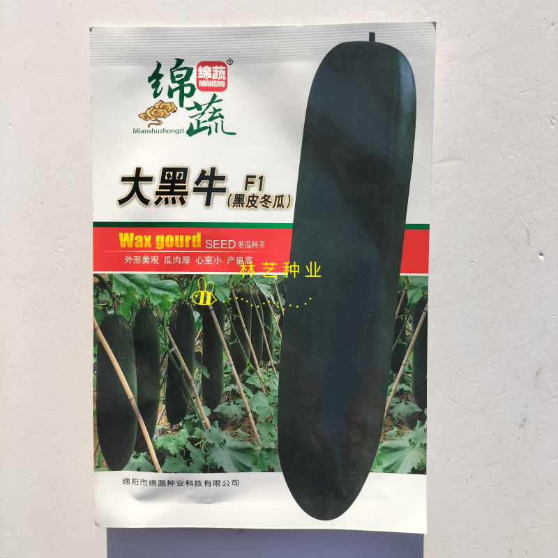 绵蔬大黑牛F1黑皮冬瓜种子炮弹型肉厚空腔小高产抗病四季蔬