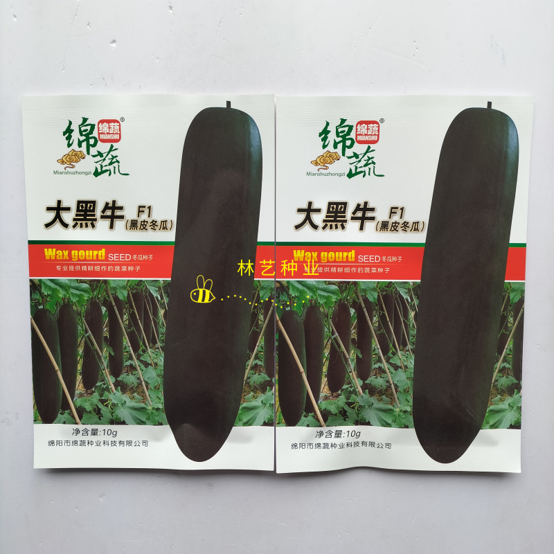 绵蔬大黑牛F1黑皮冬瓜种子炮弹型肉厚空腔小高产抗病四季蔬