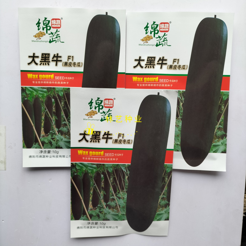 绵蔬大黑牛F1黑皮冬瓜种子炮弹型肉厚空腔小高产抗病四季蔬