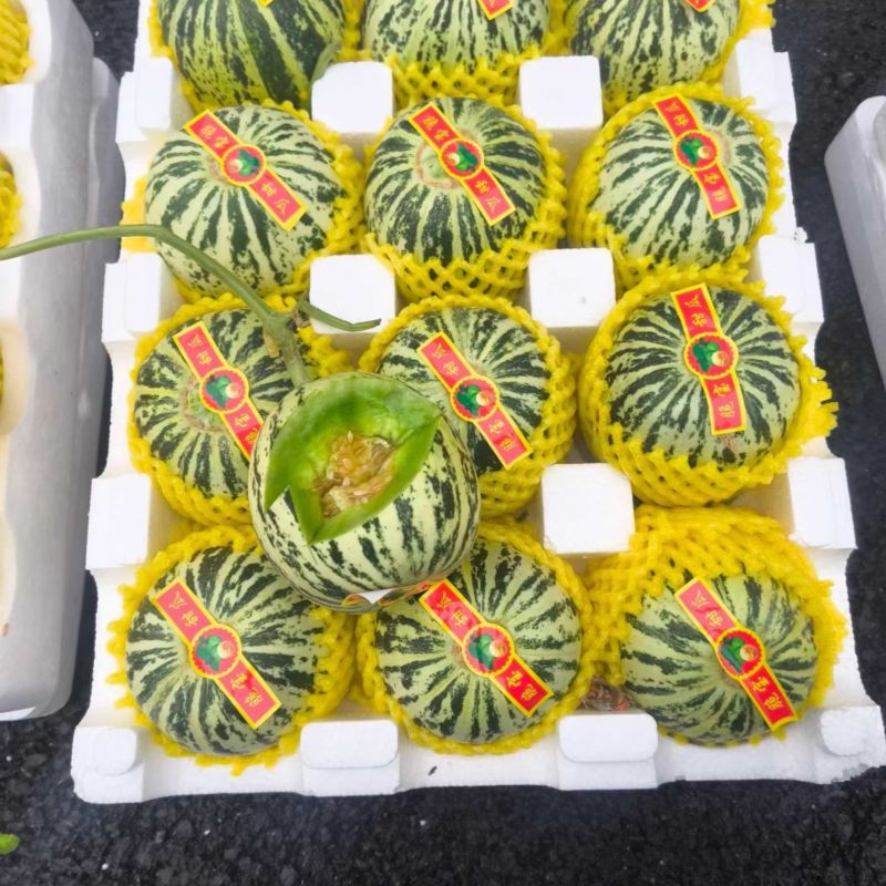 花蕾