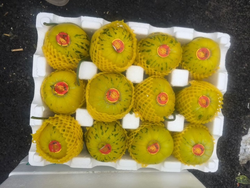 花蕾