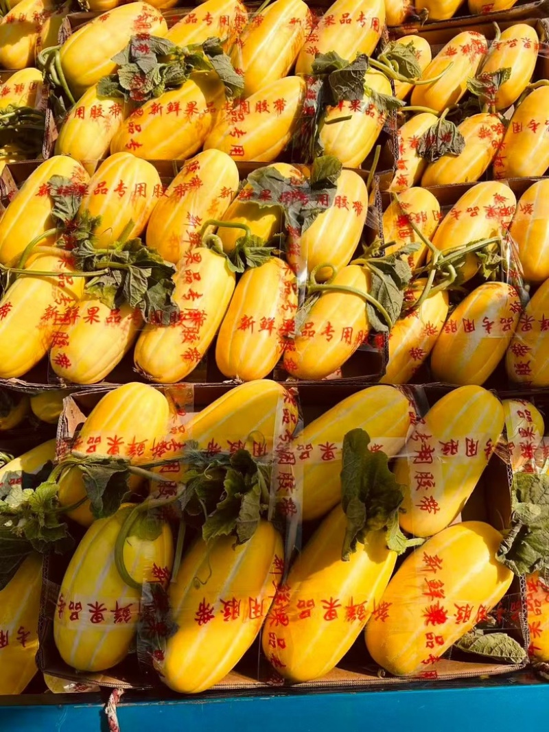 花蕾