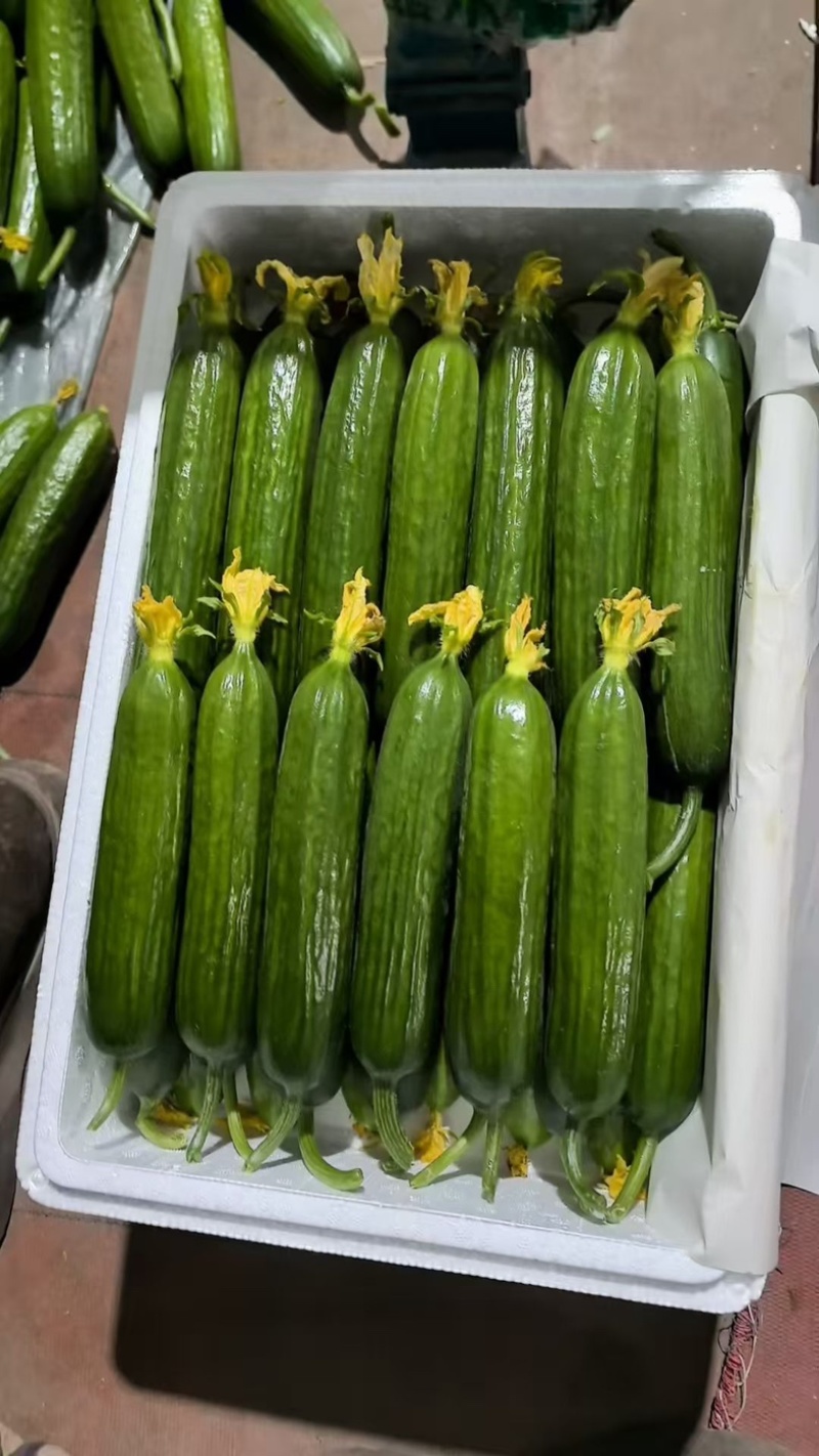 花蕾