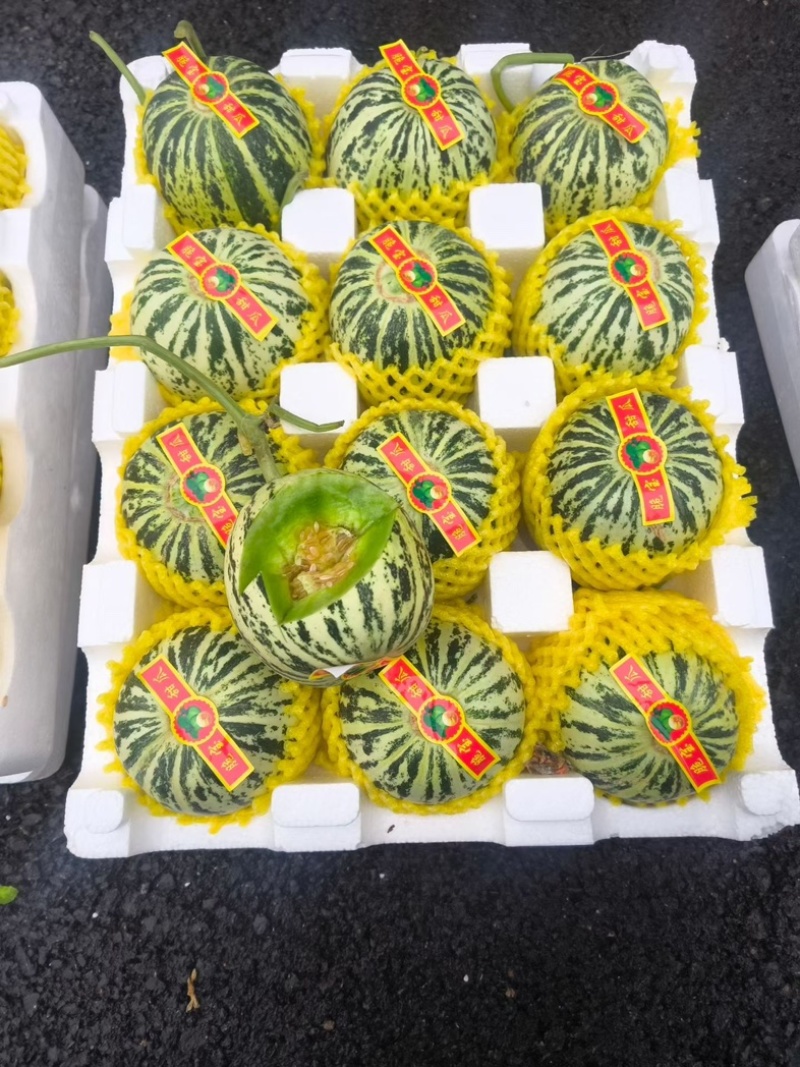 花蕾