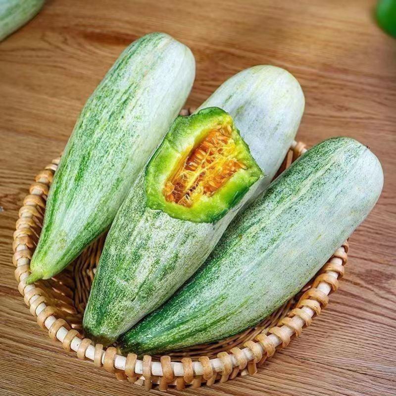 山东羊角蜜大量批发9毛钱一斤预订中