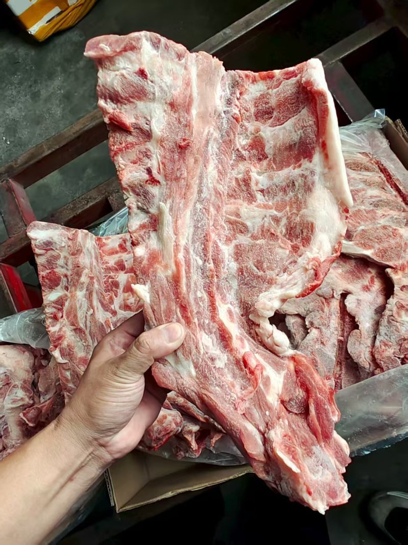 猪胫骨
