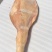 带蹄猪腿单条10斤左右全国发货